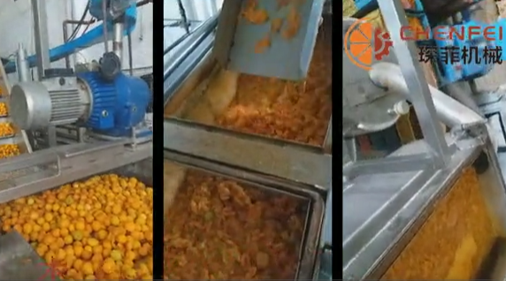 <b>杏(核類(lèi)水果)醬生產(chǎn)線</b>